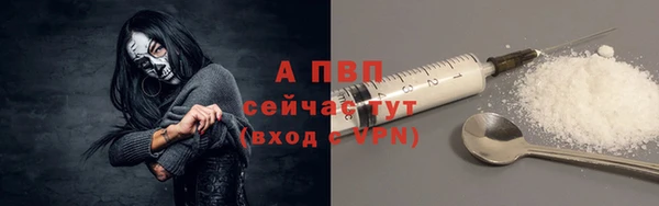 СК Куйбышев
