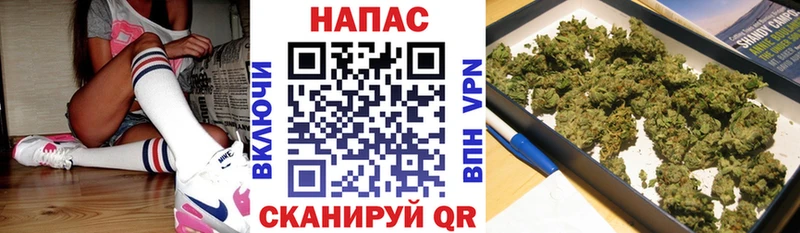 Канабис SATIVA & INDICA Куртамыш